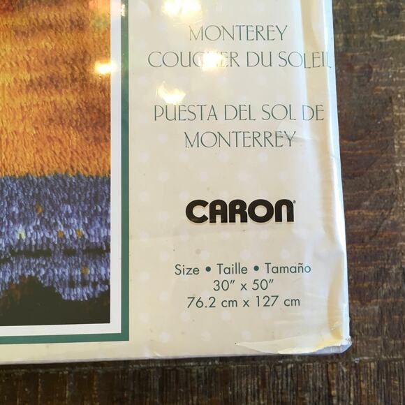 NEW SEALED Caron Wall Hanging Latch Hook Kit Monterey Sunset 30"x 50" Wonder Art - Picture 2 of 5